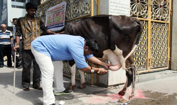 लोदगा येथे सोमवारी पशू सर्वोपचार शिबीर 