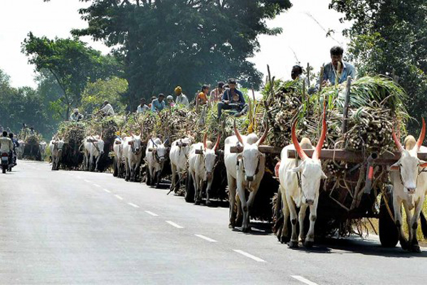 २८ जानेवारी रोजी सरकारच्या विरोधात हल्लाबोल मोर्चा 